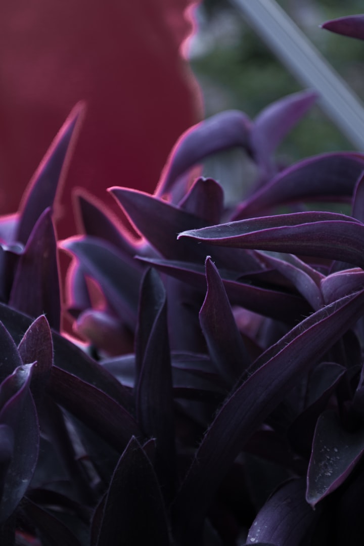 Mobile Massage Near Me